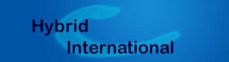 hybrid international logo